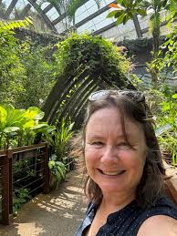 Taxi from Mangrove Beach Resort to airport?