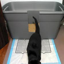 Use A Plastic Tote For A Litter Box Gives The Cats Much More Room Also On This Site Be Sure To Read About The N Cat Litter Box Litter Box Litter