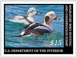 U S Fish Wildlife Service Migratory Bird Program Conserving America S Birds Stamp Vintage Postage Stamps Duck