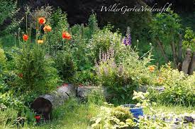 Mit vielen lebewesen und ruhepotential. Wilder Garten Vordereifel Disziplin Im Wilden Garten Garten Garten Ideen Gestaltung Vorgarten Garten Gestalten