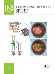 Image result for Subaxial Injury Classification Scale