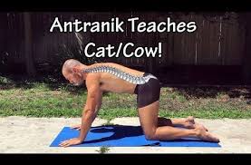 Pin On Yoga