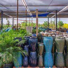Bare root trees, tree saplings and tree seedlings for sale. Tree And Plant Nursery Landscape Design And Installation Desert Horizon Nursery