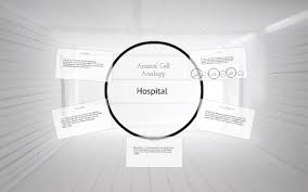 Maybe you would like to learn more about one of these? Hospital Cell Analogy Ideas