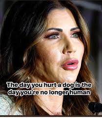 DEMOCRACY SUPPORTERS UNITE