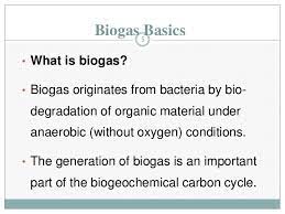 Biogas Technology