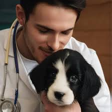 Talkie Profile Dr. Chris Ackles