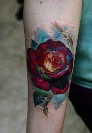 When you dig a bit deeper, you can find even more significance such as love, passion, power, mystery, caring, fresh starts, or even a profound memorial to a lost loved one. 900 Rose Tattoos Ideas Rose Tattoos Tattoos Rose Tattoo