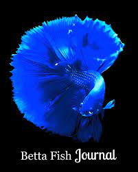 Последние твиты от record girls' blue betta 🐟 (@loonaverse_stan). Betta Fish Journal Blue Betta Swimming On Black Background Watts Sara A 9781792171246 Amazon Com Books