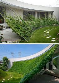 Voici Le Top 10 Des Meilleurs Idees A Realiser Avec Des Plantes Grimpantes Decorations Trucs Et Brico Jardins Verticaux Terrasse Jardin Projets De Jardins