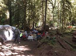 We did not find results for: Sol Duc Campground Olympic National Park Wa Foto S En Reviews Tripadvisor