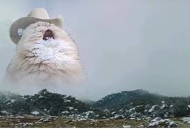 Cowboy Cat Cute Cat Memes Cat Memes Animal Memes