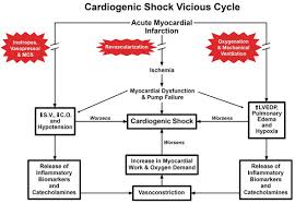 cardiogenic shock intechopen