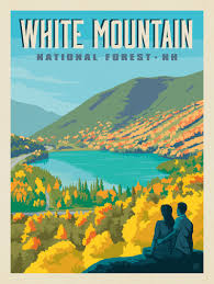 Create unique & inspiring spaces with trending artwork at everyday low prices. White Mountain National Forest Nh