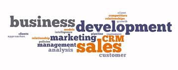 Funciones De Un Business Development Manager Business Development Unique Business Ideas Successful Online Businesses