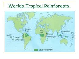 Rainforest can be classified as tropical rainforest or temperate rainforest, but other types have been d L2 Location And Climate Of Trf Ap