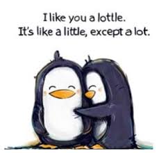 Penguin love cute penguins penguin quotes funny penguin penguin baby animal quotes lawyer humor just in case penguins. Cute Penguin Quotes Quotesgram