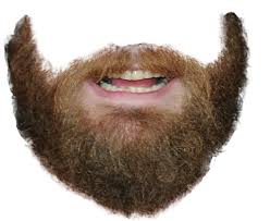 Millions of png images, png cliparts, silhouettes and icons are free download. Download Beard Png 80k Png Transparent Full Size Png Image Pngkit