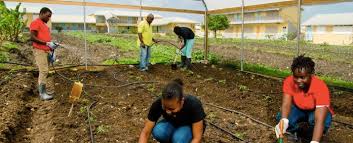 Tags for the entry agricultural what agricultural means in hindi, agricultural meaning in hindi, agricultural definition, explanation, pronunciations and examples. Definition Scope And Importance Of Agriculture Abc Of Agri
