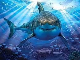 Start your search now and free your phone. Shark 3d And Cg Abstract Background Wallpapers On Desktop Nexus Image 2548492