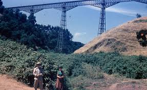 Con sus 102 metros de altura, es el segundo puente más alto de chile, solo superado por el viaducto de conchi o viaducto de loa con 103 metros. Enterreno Fotos Historicas De Chile