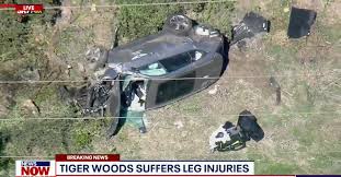 — michael fabiano (@michael_fabiano) february 23, 2021. K36tgs5ulhtj5m