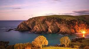 Kangaroo island was a part of the australian mainland, but then, sometime between 9,800 and 10,650 years ago, the sea levels rose. Where To Eat Drink Stay And Play On Kangaroo Island In Spring Glam Adelaide