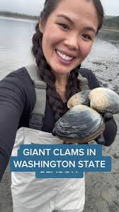 What Is A Cloms and Fisch