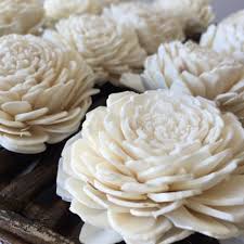 Maybe you would like to learn more about one of these? Amazon Com Eco Flower Sola Wood Flowers One Dozen Wholesale Home Kitchen