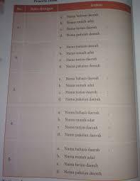 Selain suku atau etnis yang disebutkan diatas. Bahasa Daerah Rumah Adat Tarian Daerah Pakaian Daerah Suku Jawa Tengah Siswapelajar Com