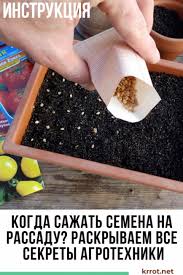 посадка цветов на рассаду в марте по лунному календарю Posadka Semen Na Rassadu Sekrety Agrotehniki Ovoshnoj Ogorod Ogorod I Agrotehnika