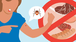 Image result for Tick Bite