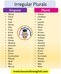 Irregular Plurals Singular And Plural Lessons For English