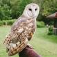 Join Wildlands' Wildlife Meet & Greet