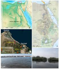 Image result for Nile Green 1964 GM