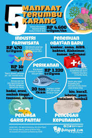 Siklus batuan bisa terjadi berulang dan membuat batu berubah. Uzivatel One Island One Voice Na Twitteru 1 Hi Plastic Fighters Tau Enggak Sih Terumbu Karang Adalah Ekosistem Bawah Laut Yang Terdiri Dari Sekelompok Binatang Karang Membentuk Struktur Kalsium Karbonat Semacam Batu