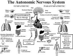 Image result for Autonomic Dysfunction