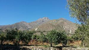 Convenio entre la ilustre municipalidad de monte patria y el servicio nacional de la mujer y equidad de género, de la región de coquimbo requiere contratar, en calidad de honorarios. Hostal La Gallardina Prices Guest House Reviews Monte Patria Chile Tripadvisor