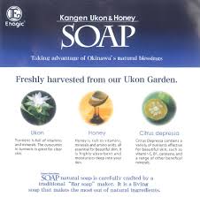 Check spelling or type a new query. Enagic S Leveluk And Kangen Products Consciousness And Clarity