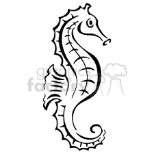 Pin By Kayla Stilwell On Cricut In 2020 Seahorse Drawing Seahorse Outline Seahorse Art