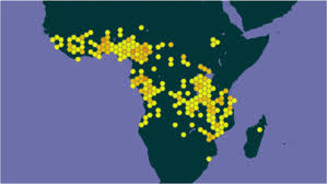 Image result for Psorospermum mechowii