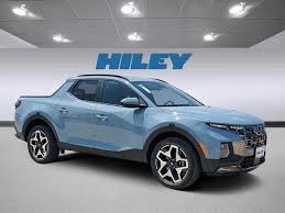 Image result for Blue Stone 2023 Santa Cruz