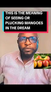 Plucking Ripe Mango in The Dream