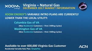 Virginia Natural Gas Columbia Gas Of Va Ppt Download