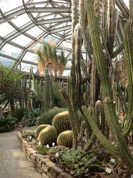 Botanischer garten und botanisches museum berlin) is a botanical garden in the german capital city of berlin, with an area of 43 hectares and around 22,000 different plant species. Botanischen Gartens Und Botanischen Museums Berlin 2020 All You Need To Know Before You Go With Photos Tripadvisor