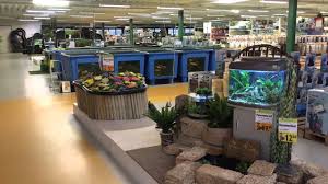 Tuincentrum Oosterik Youtube