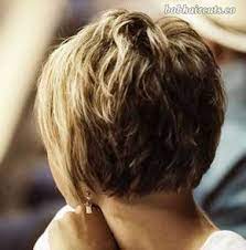 Pin On Shorthair Styles