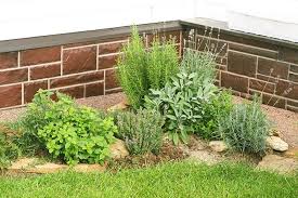 Create a simple potager, or kitchen garden, and harvest your herbs for cooking, sprucing up lemonade, cocktails and tea or simply enjoy their cottage charm (and sweet smells!).herbs are also great looking greenery in cutting garden bouquets of other. 25 Pretty Herb Garden Ideas Trees Com