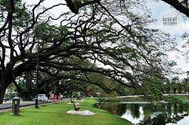 Negeri perak mempunyai ketamadunan yang tertua di malaysia. Tempat Menarik Di Perak Taman Tasik Taiping Ana Suhana