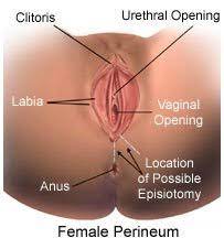 Excision Of A Bartholin's Cyst (Aftercare Instructions)